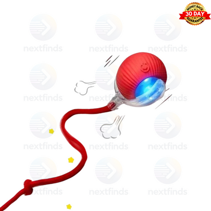 Smart Self-Rolling Pet Ball – Interactive Automatic Toy for Cats & Dogs | USB Rechargeable