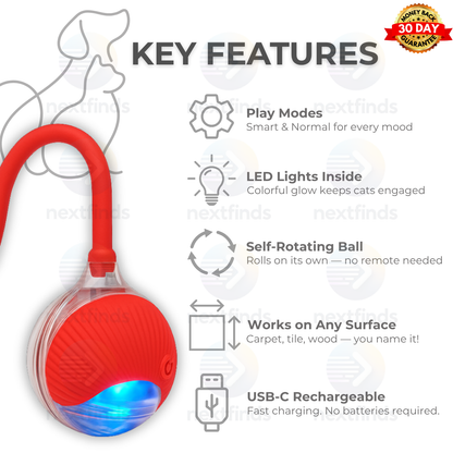 Smart Self-Rolling Pet Ball – Interactive Automatic Toy for Cats & Dogs | USB Rechargeable