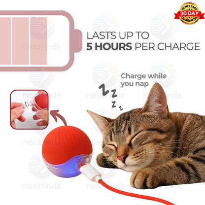Smart Self-Rolling Pet Ball – Interactive Automatic Toy for Cats & Dogs | USB Rechargeable