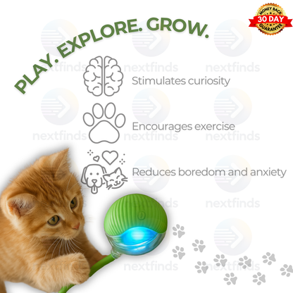 Smart Self-Rolling Pet Ball – Interactive Automatic Toy for Cats & Dogs | USB Rechargeable