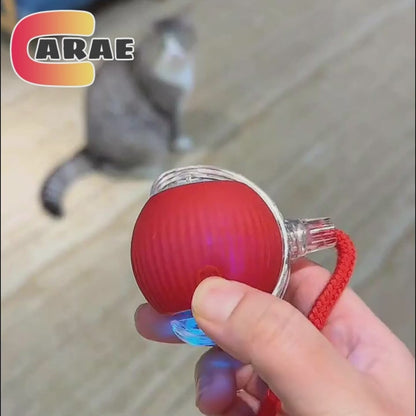 Smart Self-Rolling Pet Ball – Interactive Automatic Toy for Cats & Dogs | USB Rechargeable